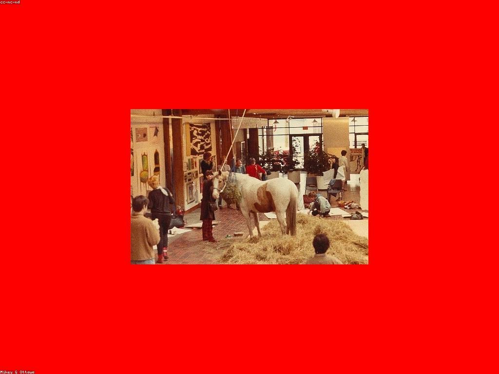 អត្ថប្រយោជន៍នៃសមាជិកភាពកម្រិតខ្ពស់